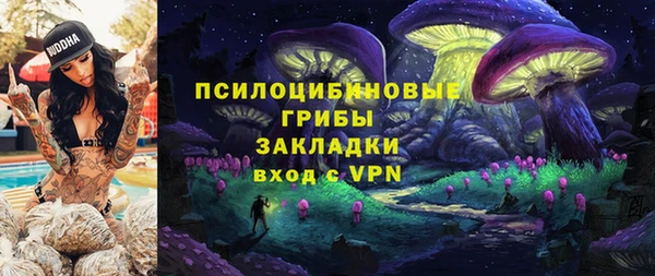 сатива Алзамай