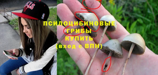 бутират Алексин