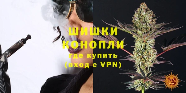 сатива Алзамай